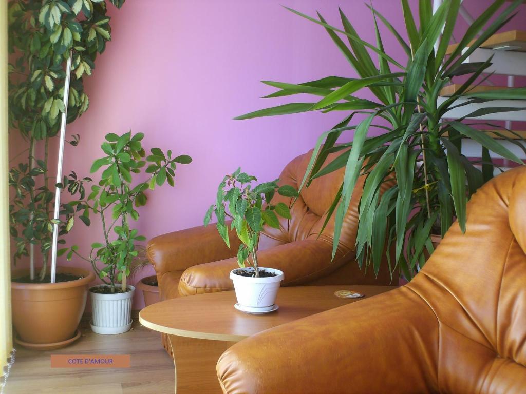 Pension Cote D'Amour Moieciu de Jos Room photo