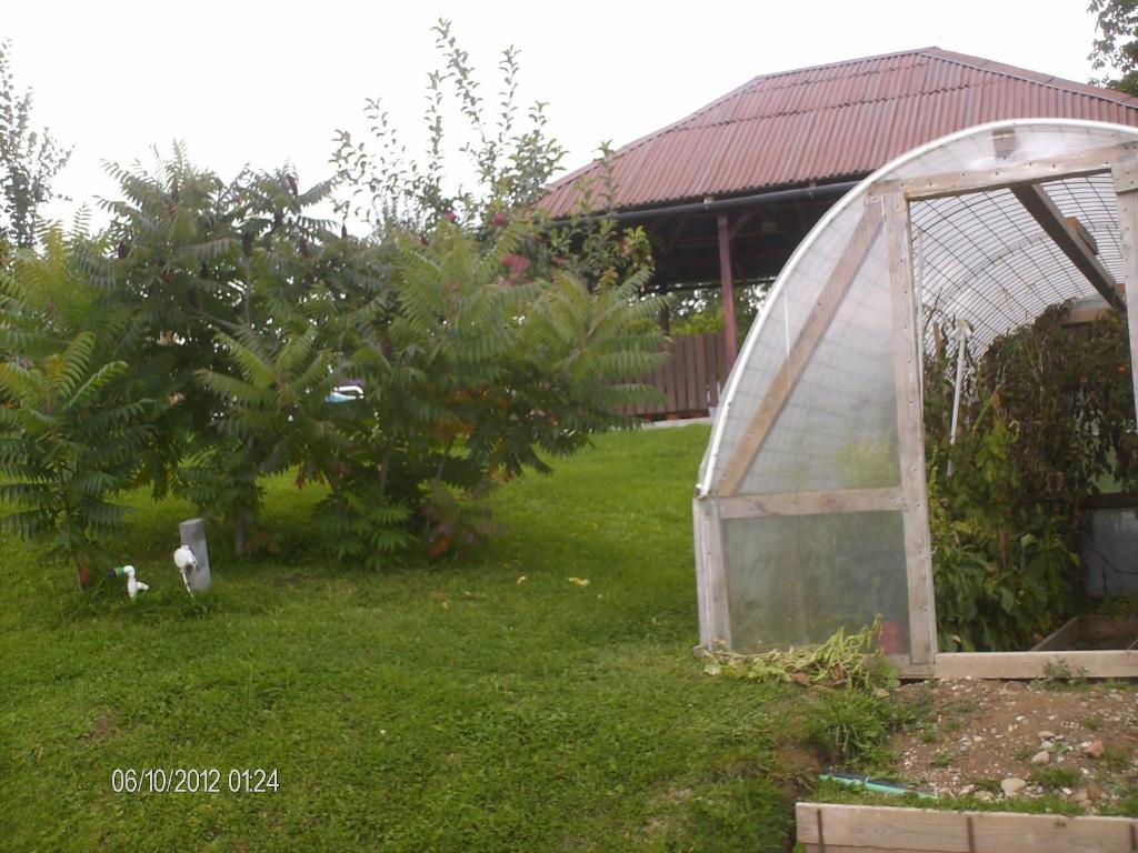 Pension Cote D'Amour Moieciu de Jos Exterior photo
